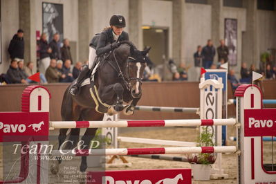 Blue Hors
spring 6års 2.kvl
Nøgleord: cassado ask;karen  møller rohde
