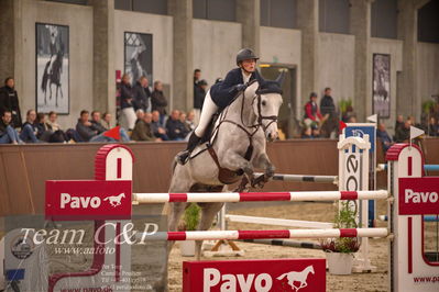 Blue Hors
spring 6års 2.kvl
Nøgleord: untouchable olympic;julie højer thomsen