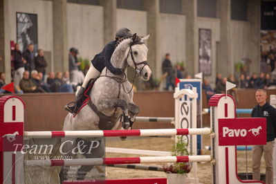 Blue Hors
spring 6års 2.kvl
Nøgleord: camilla lund-pedersen;king kong