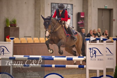 Blue Hors
spring 6års 2.kvl
Nøgleord: rikke hasstrup kristensen;hilly van der horst z