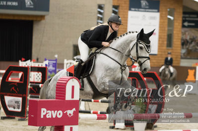 Nøgleord: cp;julie rask;passion sejh