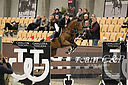 Filnavn=_DSC0194.jpg
Filstørrelse=3794KiB
Dimensioner=4999x3324
Dato for tilføjelse=%17 %755, %2021 _DSC0194.jpg