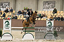 Filnavn=_DSC0196.jpg
Filstørrelse=3835KiB
Dimensioner=4999x3324
Dato for tilføjelse=%17 %755, %2021 _DSC0196.jpg
