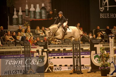 Absolut horses
csi 1 big tour qual 135cm
Nøgleord: jennifer fogh pedersen;catdaddy
