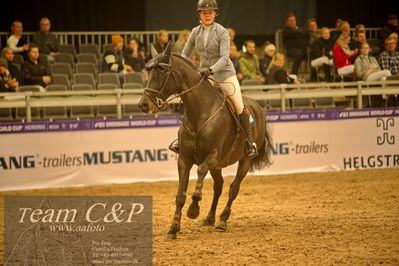 Absolut horses
csi 1 big tour qual 135cm
Nøgleord: kajsa björe;ballyshan copa cabana