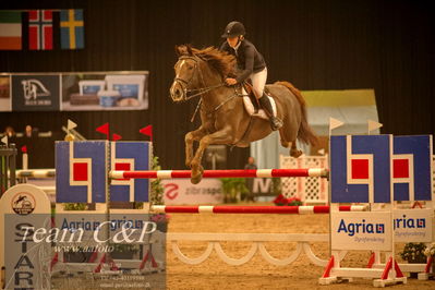 Absolut horses
csi 1 big tour qual 135cm
Nøgleord: mille bisgaard;candela veritas