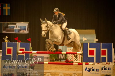 Absolut horses
csi 1 big tour qual 135cm
Nøgleord: signe voldgaard hansen;luganer e