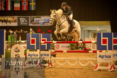 Absolut horses
csi 1 big tour qual 135cm
Nøgleord: rilson de l'abbaye;ina meldgaard slettnes møller