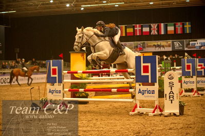 Absolut horses
csi 1 big tour qual 135cm
Nøgleord: rilson de l'abbaye;ina meldgaard slettnes møller