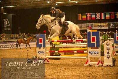 Absolut horses
csi 1 big tour qual 135cm
Nøgleord: rilson de l'abbaye;ina meldgaard slettnes møller