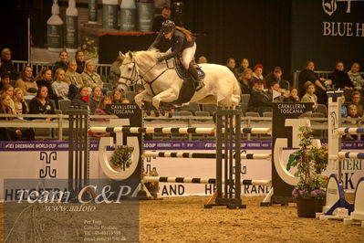 Absolut horses
csi 1 big tour qual 135cm
Nøgleord: rilson de l'abbaye;ina meldgaard slettnes møller