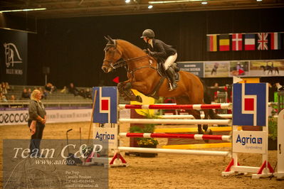 Absolut horses
csi 1 big tour qual 135cm
Nøgleord: lili johansson;lord holstein
