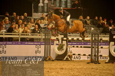 Absolut horses
csi 1 big tour qual 135cm
Nøgleord: lili johansson;lord holstein