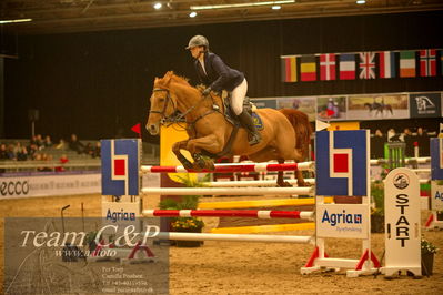 Absolut horses
csi 1 big tour qual 135cm
Nøgleord: mie mundberg hansen;gangnam style