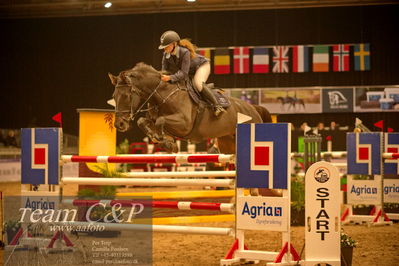 Absolut horses
csi 1 big tour qual 135cm
Nøgleord: frida munk lassen;chaleen 3