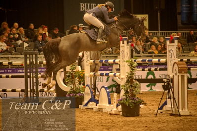 Absolut horses
csi 1 big tour qual 135cm
Nøgleord: frida munk lassen;chaleen 3