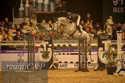 Absolut horses
csi 1 big tour qual 135cm
Nøgleord: christian jansen;ca-di dd