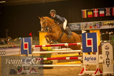 Absolut horses
csi 1 big tour qual 135cm
Nøgleord: kirstin skjoldhøj;heart of cold