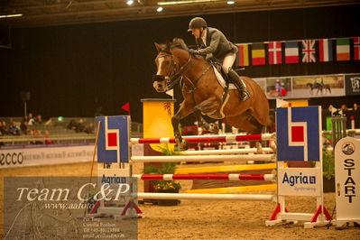 Absolut horses
csi 1 big tour qual 135cm
Nøgleord: søren møller rohde;kanango ask