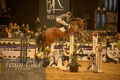 Absolut horses
csi 1 big tour qual 135cm
Nøgleord: søren møller rohde;kanango ask