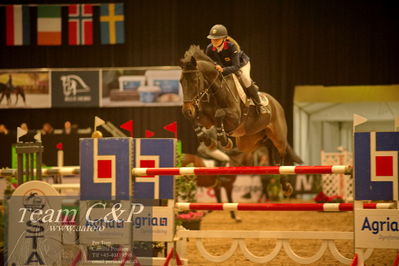 Absolut horses
csi 1 big tour qual 135cm
Nøgleord: pheoebe farman;diara sue