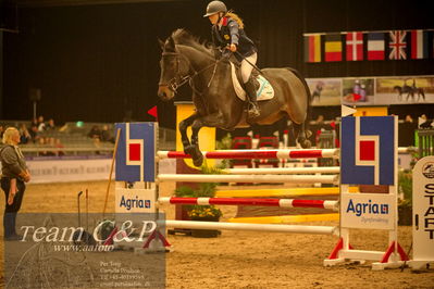 Absolut horses
csi 1 big tour qual 135cm
Nøgleord: pheoebe farman;diara sue