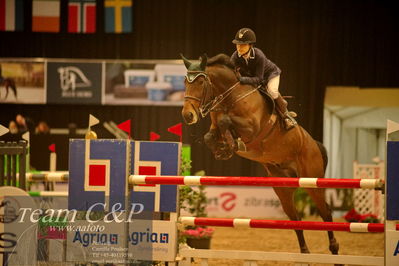 Absolut horses
csi 1 big tour qual 135cm
Nøgleord: reiko takeda;kentucky de la pomme