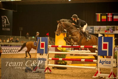 Absolut horses
csi 1 big tour qual 135cm
Nøgleord: nanna møller ellegaard;cinderalla