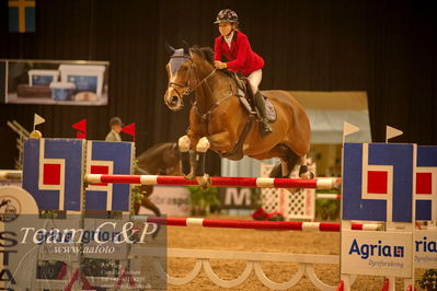 Absolut horses
csi 1 big tour qual 135cm
Nøgleord: nikita aabo;chilano