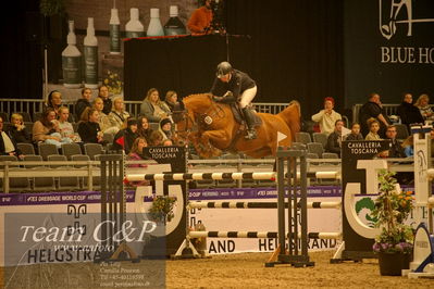 Absolut horses
csi 1 big tour qual 135cm
Nøgleord: kati lekander;ceedah