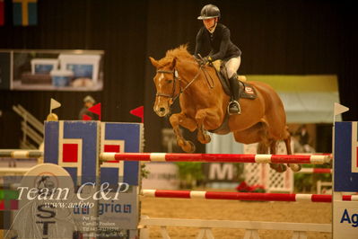 Absolut horses
csi 1 big tour qual 135cm
Nøgleord: sally wikner;baroness