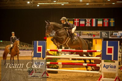 Absolut horses
csi 1 big tour qual 135cm
Nøgleord: rie rose lindegren roed;calalou