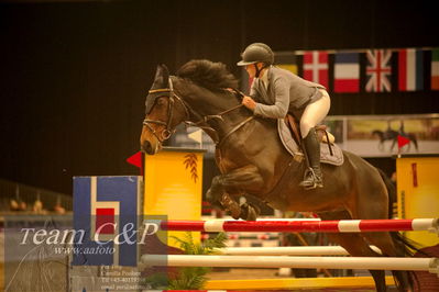 Absolut horses
csi 1 big tour qual 135cm
Nøgleord: victoria celine dalen;catoo bi du