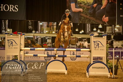 Jydske bank box
CSI1 Small Tour Finale Qual. (238.2.1) 1.25m
Nøgleord: sally wikner;la barca 2