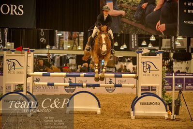 Jydske bank box
CSI1 Small Tour Finale Qual. (238.2.1) 1.25m
Nøgleord: sally wikner;la barca 2