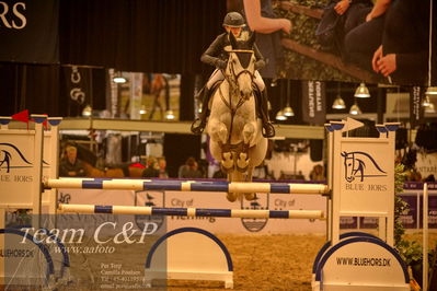 Jydske bank box
CSI1 Small Tour Finale Qual. (238.2.1) 1.25m
Nøgleord: infrid sandhel bjørklund;garden party