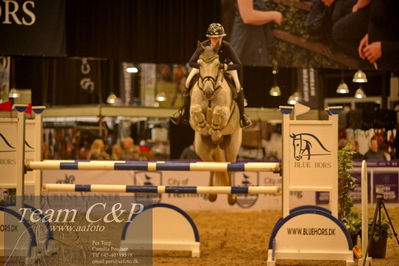 Jydske bank box
CSI1 Small Tour Finale Qual. (238.2.1) 1.25m
Nøgleord: vicky venschott;qienna 3