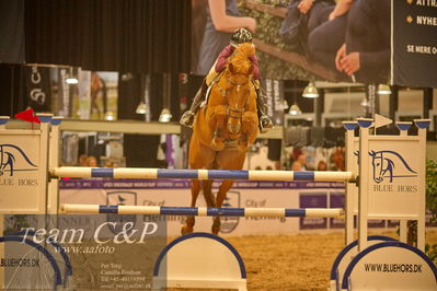 Jydske bank box
CSI2 Medium Tour (238.2.1) 1.40m
Nøgleord: signe skei;callin on you