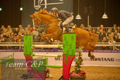 Jydske bank box
CSI2 Medium Tour (238.2.1) 1.40m
Nøgleord: torben frandsen;elmegårdens  dakota