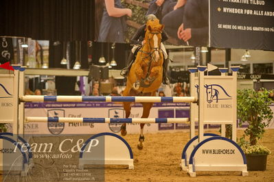 Jydske bank box
CSI2 Medium Tour (238.2.1) 1.40m
Nøgleord: torben frandsen;elmegårdens  dakota