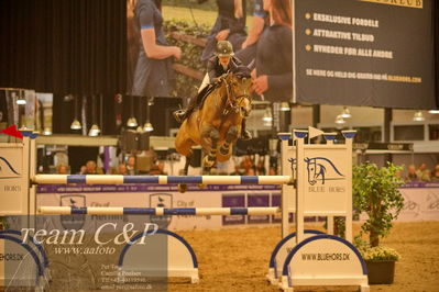 Jydske bank box
CSI2 Medium Tour (238.2.1) 1.40m
Nøgleord: rie rose lindegren roed;tucsia del pggiosecco