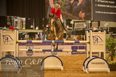 Jydske bank box
CSI2 Medium Tour (238.2.1) 1.40m
Nøgleord: gitte dahl;conan
