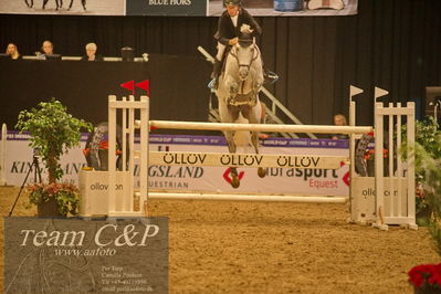 Jydske bank box
CSI2 Medium Tour (238.2.1) 1.40m

