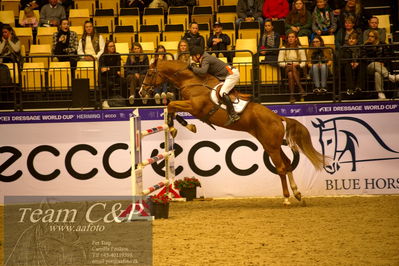 Jydske bank box
BEMER Int. AG CSI2 Big Tour GP Qual. (238.2.2) 1.45m
Nøgleord: stein endresen;casall sem