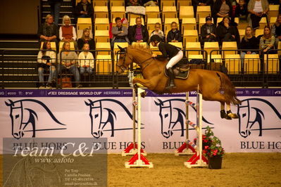 Jydske bank box
BEMER Int. AG CSI2 Big Tour GP Qual. (238.2.2) 1.45m
Nøgleord: marlene lindblad;fury