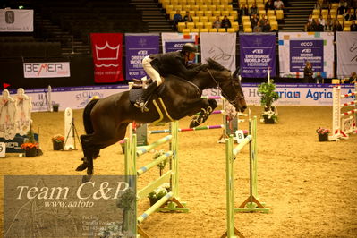 Jydske bank box
BEMER Int. AG CSI2 Big Tour GP Qual. (238.2.2) 1.45m
Nøgleord: magnus jacobson;diarado's rose edith