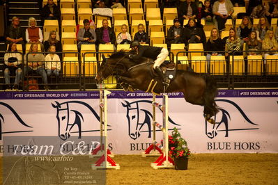 Jydske bank box
BEMER Int. AG CSI2 Big Tour GP Qual. (238.2.2) 1.45m
Nøgleord: magnus jacobson;diarado's rose edith