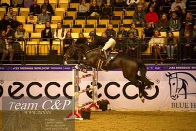 Jydske bank box
BEMER Int. AG CSI2 Big Tour GP Qual. (238.2.2) 1.45m
Nøgleord: magnus jacobson;diarado's rose edith