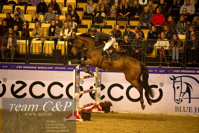 Jydske bank box
BEMER Int. AG CSI2 Big Tour GP Qual. (238.2.2) 1.45m
Nøgleord: lars trier kjoeller;dinapo