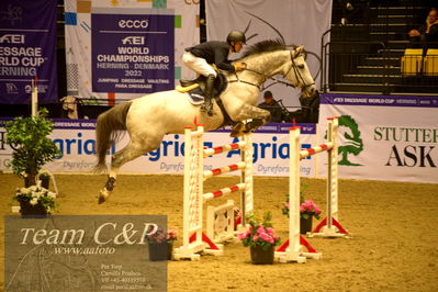 Jydske bank box
BEMER Int. AG CSI2 Big Tour GP Qual. (238.2.2) 1.45m
Nøgleord: torben frandsen;zapitol s z